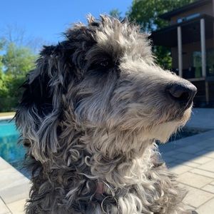 Meet your Posher, Caroline